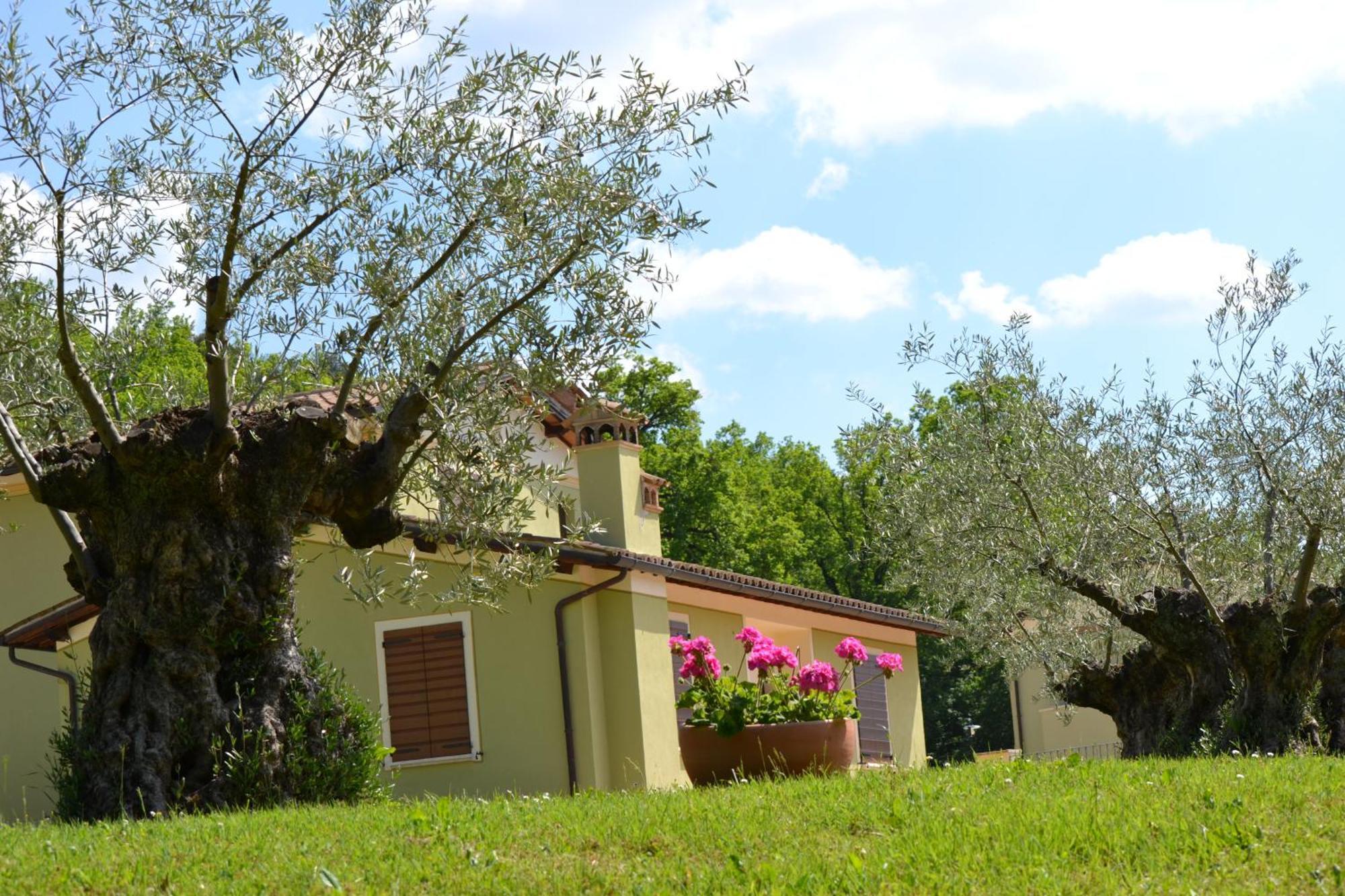 Valle Rosa Spoleto Dış mekan fotoğraf