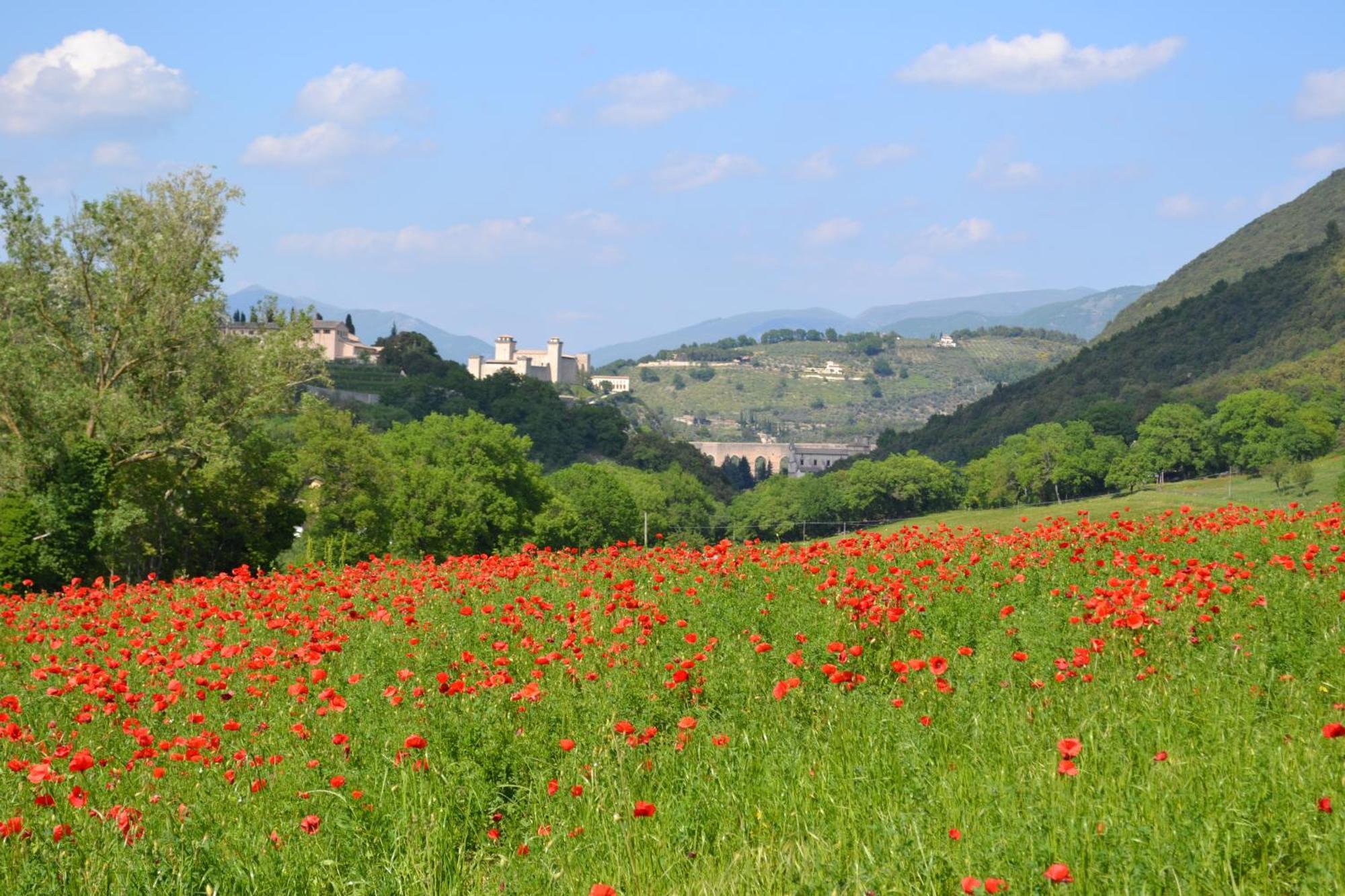 Valle Rosa Spoleto Dış mekan fotoğraf